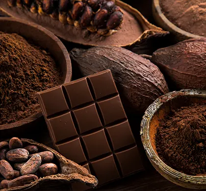 Meilleurs cacaos